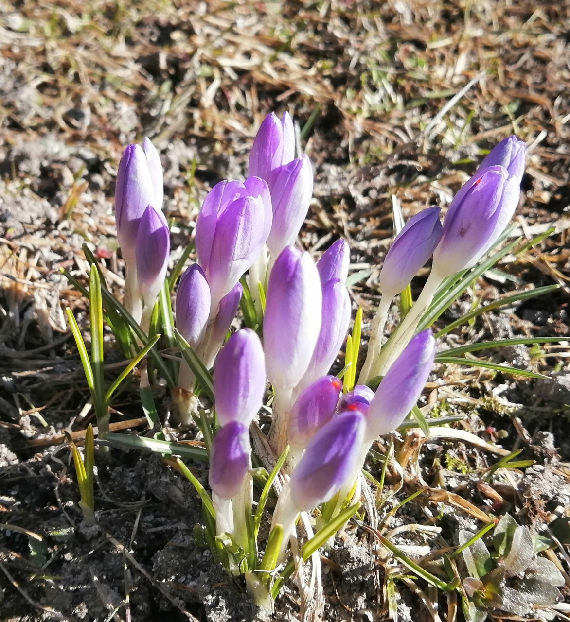 Read more about the article ”Hän ei ole täällä, Hän on noussut kuolleista!”